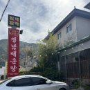 영남매운탕 | 문경 맛집 단체 손님 가능한 메기매운탕 맛집 추천 영남매운탕 솔직후기