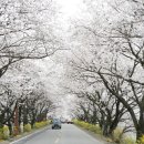 흥무로1(가운데) 이미지