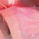 태안 동물병원 이미지