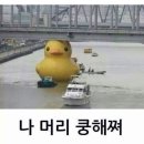 덕
