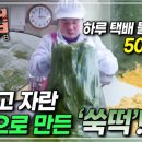 쑥떡쑥떡떡집 이미지