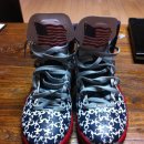 (285)NIKE HYPERDUNK 2011 USA CUSTOM 이미지
