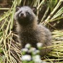 보행자전용도로 3-47 이미지