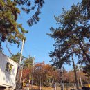 홀통183 캠핑장 이미지