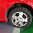 콩이카센타 이미지