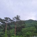 자연밸리 관광농원 이미지