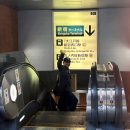 11650-17-29-12 | [도쿄 마라톤 후기] 월드 메이저 마라톤의 클래스, 34km 벽과 3시간 29분 완주 기록