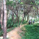 서미영 카카오 검색결과