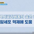 세모스쿠알렌 이미지