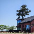 오드사이즈페이퍼 | 제주 한경면 숙소 분위기, 가성비, 위치 좋은 오드사이즈페이퍼