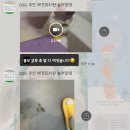 놀러왔댕 이미지