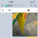 대도초 녹색어머니 교통지도 대행 후기: 2026년 6월 강남구 대도초등학교 등굣길 안전지도 활동