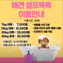 삼육사로01 | 동두천 애견카페 추천, 캠핑 감성 바베큐식당 소르피아97 후기