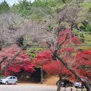 금나무 공인중개사사무소 이미지