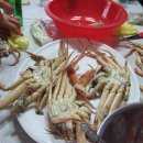 영덕대게 이미지