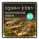 코리아농장 이미지