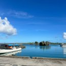 해원렌트카 | 오키나와 여행 9월 액티비티 스쿠버 거북이 푸른동굴 프리다이빙