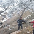 봉순이밥상 이미지