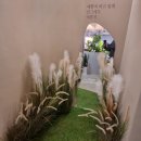 카페아셀