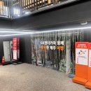 바람솔길펜션 | 이슈로 30%만 성공한 우당탕탕 펀다이빙 여행 반성 후기 (도리빨, 월령포구, 법환포구, 섬오름해물라면)