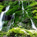 SK삼척주유소 이미지