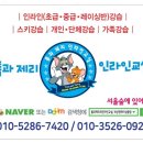 따듯한 봄날 인라인 강습.톰과제리인라인교실. 이미지