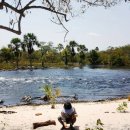 경관농장 이미지