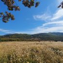 28산우회 억새산행 (밀양 재약산 사자평원) 이미지