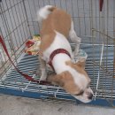 송도지구대 이미지