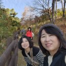 성진자원 | 남해 여행 코스(당일) 남해 가볼만한곳 트레킹 &#34;노도&#34;