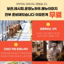 상생미트 이미지