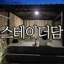 스테이더담 가곡 이미지