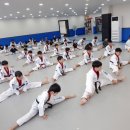 푸른 경희대 태권도장 이미지