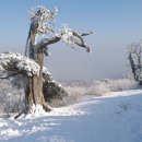 새하얀세상 이미지