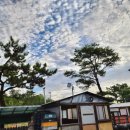 송라 아쿠아 이미지