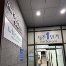 제주어머니집 | 제주 숙소 후기 | 더테라스뷰, 신라스테이 제주, 제주어머니집 에어비앤비