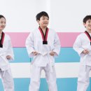 체형교정 태권도 이미지