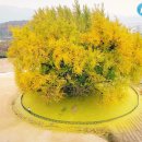 반계1리마을회관 이미지