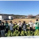 아이나라어린이집 이미지