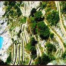 지상낙원 이미지