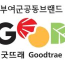 더로컬 314 이미지