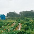 에덴농장 2 이미지