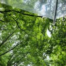 지에스25 여의파크점 이미지