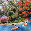 중앙레포츠 이미지