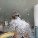 한국교통대학교교직원식당 | 제천, 영월, 충주여행 🇰🇷