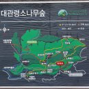 낙산사담장 | 강원도 여행 2박3일 2일차=낙산사