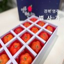 영농조합법인 김포관광농원 | 영주 별사과 미니사과 디지털관광주민증 특산물 선물 후기