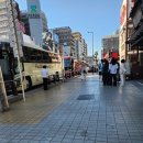 여우소굴 | 오사카 3박 4일 / day 2 - 1 / 교토 버스투어 / 하루하루투어 / 내돈내산 / 아라시야마 /
