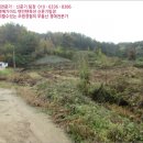 [국도25] 보은군 후평리 네이버블로그