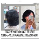 증평미용실 단발 악성곱슬 C컬 성공 후기| 헤비수 증평점 이영본부장
